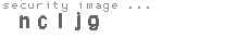 security image