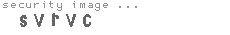 security image