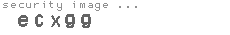 security image