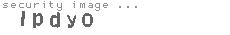 security image
