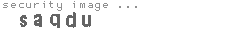 security image