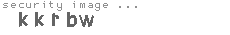 security image