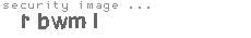 security image