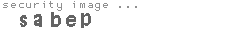security image