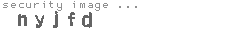 security image