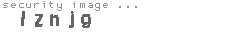 security image
