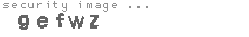 security image