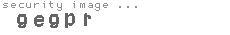 security image
