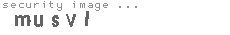 security image