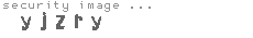 security image