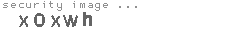 security image