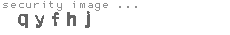 security image