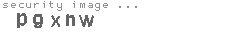 security image