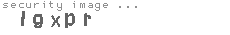 security image