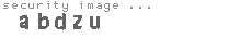 security image