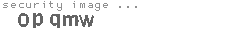 security image
