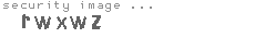 security image