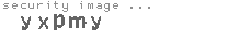 security image