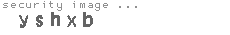 security image