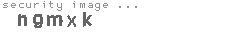 security image