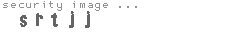 security image