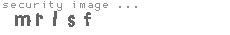 security image