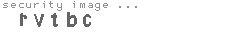 security image
