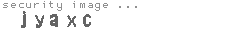 security image