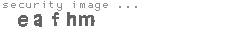 security image