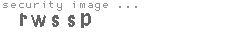 security image