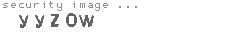 security image