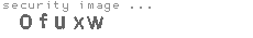 security image