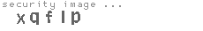 security image