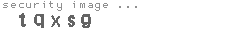security image