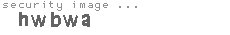 security image