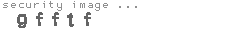 security image