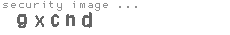 security image