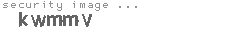 security image