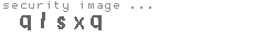 security image