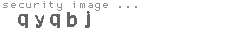 security image