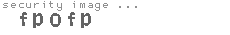 security image