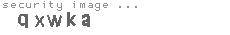security image