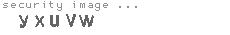 security image