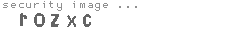 security image