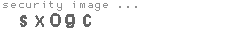 security image