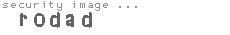 security image