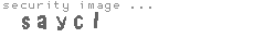 security image