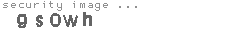 security image