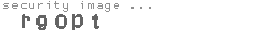 security image