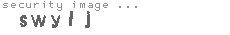 security image
